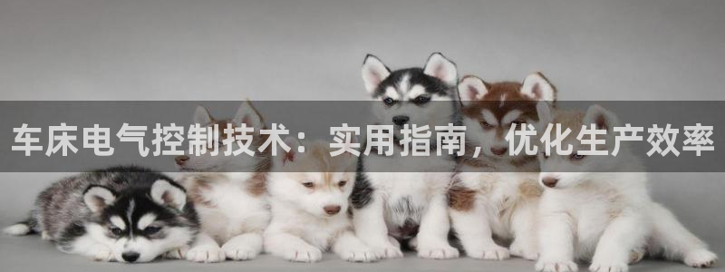 凯发网网站