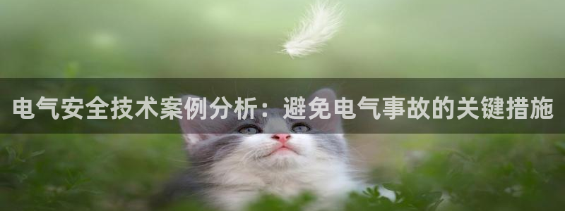 凯发国际是什么投资平台：电气安全技术案例分析：避免
