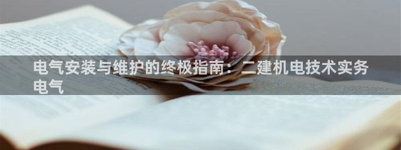 凯发一触即发：电气安装与维护的终极指南：二建机电技