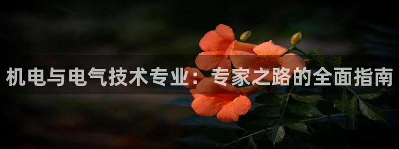 凯发网网站：机电与电气技术专业：专家之路的全面指南