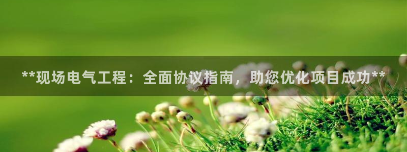 凯发官网登录免费下载：**现场电气工程：全面协议指