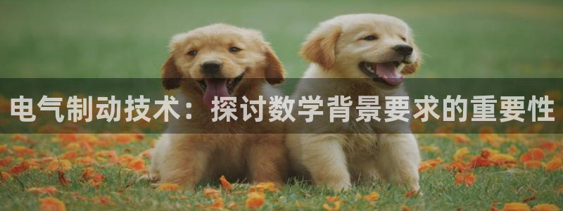 凯发k8登录首页：电气制动技术：探讨数学背景要求的